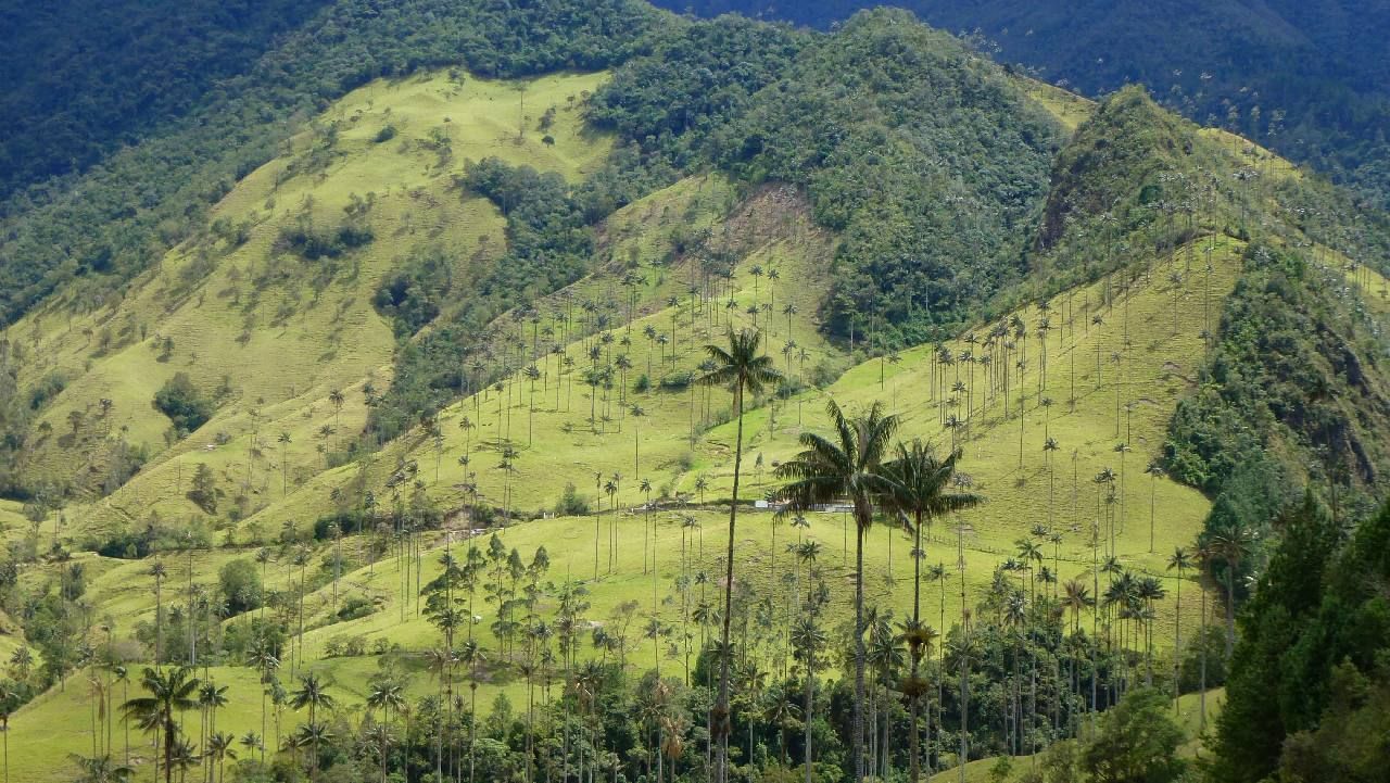 Colombia groepsreis